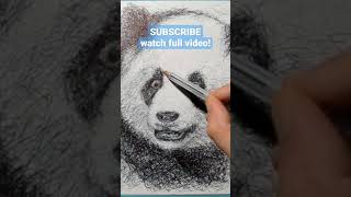 Drawing a Panda Bear with a Ballpoint Pen #shorts #scribbleart