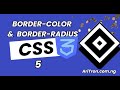 Border-color & Border-radius in CSS