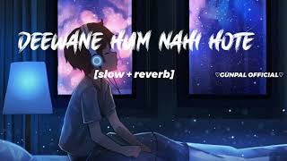 Deewane Hum Nahi Hote New lofi song ( Slowed+Reverb)2023 Editing By / hg__editor__021__