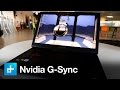 Nvidia G-Sync Test