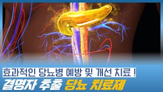 당뇨를 예방하거나 개선하는데 효과적인 결명자 추출 당뇨 치료제 (당뇨병 영양제, 당뇨병 치료제)