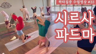 [엔젤요가] 하타집중 수업영상#33 | 시르사파드마사나