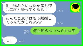 【LINE】産まれた息子に障がいがあると知り旦那と離婚させる姑「息子の子じゃないわ！」→浮気を疑って嫁を追い出す義母にある真実を伝えると…ｗ