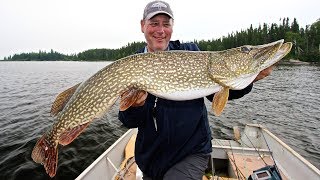 Trophy Pike At Edmund Lake!