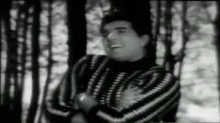 Ek Haseen Sham Ko Dil Mera Kho Gaya _Mohammed Rafi _Dulhan Ek Raat [1967] 720p_HD