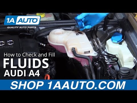 How to Check and Fill Fluids 2004-08 Audi A4 How to Check and Fill Fluids 2004-08 Audi A4