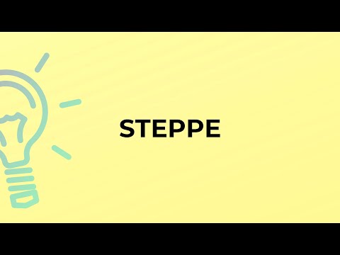 What does the word steppe mean?