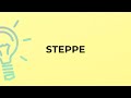 What is the meaning of the word STEPPE?