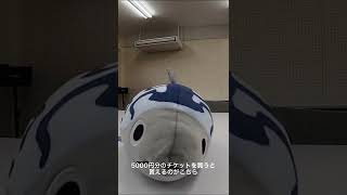 サバらしい日々で貰えるぬいぐるみ紹介 #Shorts