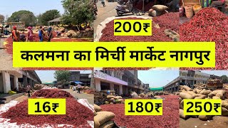 Kalamna Mirchi Market Nagpur | Wholesale Chili Market Nagpur| Teja Mirchi/Bhiwapuri Mirchi Market