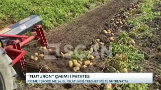 “Fluturon” çmimi i patates – Rritje rekord me 26.1%. Cilat janë tregjet më të shtrenjta?