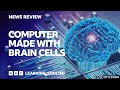 Computer made with brain cells: BBC News Review
