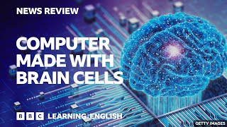 Computer made with brain cells: BBC News Review