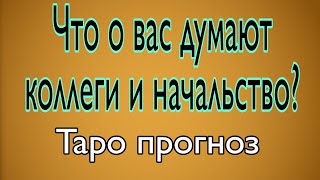 Что о вас думают коллеги и начальство? | Таро Прогноз | Тайна Жрицы |