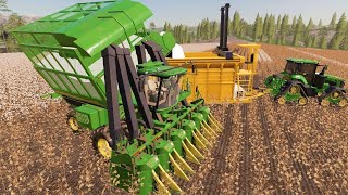 We will be rich harvesting cotton and corn | Suits to boots 16 | Farming Simulator 19