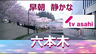 東京港区🌸桜満開な空いてる早朝ドライブ～神宮外苑の権田原から【早朝の六本木】桜満開🌸六本木ヒルズ＆東京ミッドタウン🌸早朝の赤坂サカス前【新国立競技場建設中】【南青山】早朝の桜満開🌸半蔵門