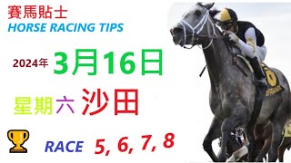 「賽馬貼士」🐴  2023 年 3 月 16 日 沙田🐴    香港賽馬貼士  HONG KONG HORSE RACING TIPS  🐴 RACE  5  6  7  8