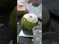 Already coconut Cutting  #coconut #survivalskills #fruit #primitivesurvivalskills