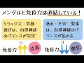 コレ大事！愛犬・愛猫の看護や介護のときに「飼い主ができること」メンタル編