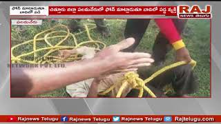 ఫోన్ మాట్లాడుతూ బావిలో పడిపోయిన వ్యక్తి  | Man Fell into Well in Chittoor | Raj News Telugu