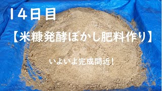 【米糠発酵ぼかし肥料作り14日目】水分が抜けて発酵が収まってきました