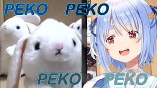 Pekora and the \