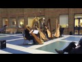 Harpists in Southwark Wing Atrium Guy's Hospital