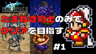 【FF3】たまねぎ剣士のみでクリアを目指す　#1【ピクリマ】