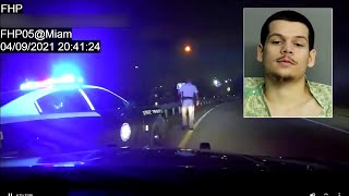 Dashcam video shows wild I-95 traffic stop