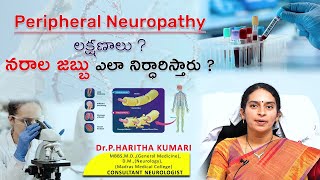 Peripheral Neuropathy లక్షణాలు ? నరాల జబ్బు ఎలా నిర్ధారిస్తారు ? | Dr P Haritha Kumari