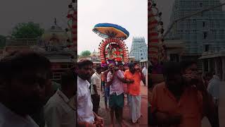 #அருணாசலேஸ்வரர்#annamalaiyartemple #திருவண்ணாமலை #உற்சவம் #நமசிவாய #omnamahshivaya #festival