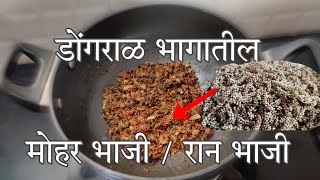 मोहर भाजी || Mohar Bhaji || रान भाजी