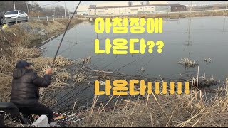 청주 작은소류지 붕어낚시(오전장 대박?)