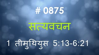 1 तीमुथियुस  (#0875) 1 Timothy  5 :13- 6:21  Hindi Bible Study Satya Vachan