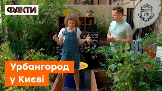 🍓 ГОРОД посеред міста: першу вирощену полуницю ПРОДАЛИ на аукціоні за 1700 грн