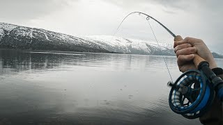 Aldri før har jeg opplevd så godt fiske i sjøen - Utmarka S03E07