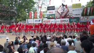 十人十彩　～2010高知よさこい祭り・全国大会(高知城)