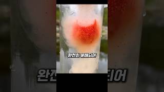 20초 만에 녹는 그물? 환경 친화적 낚시의 혁명!