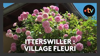 Un lieu, des histoires à Itterswiller : village fleuri - Episode 4/4