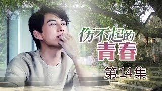 【都市爱情】伤不起的青春 第14集 未删减版【靳东 高斯 王诗槐 宋雨霏】