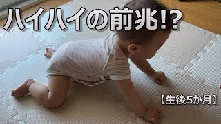 【生後5ヵ月】ハイハイの前兆のような仕草を見せたり、アンパンマンでいたずらしたらいいリアクションしてくれたり...そんな赤ちゃんの1日というか3,4日です。