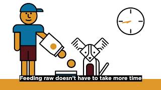 Feeding Raw: 3 Myths About Feeding a Raw Diet
