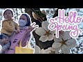 SPRING Vlog 2022 | Cherry Blossoms | Life in Japan | wela’s adventure