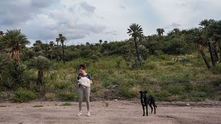 Después de pensarlo mucho tiempo decidí comprar un terreno en este pueblo | Papagayos, San Luis