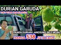 Gara-Gara Durian Bisa Beli Mobil Harga 538 Juta Di Bayar Cash (Miliarder Petani Durian)