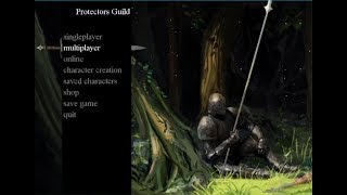 2D Java Multiplayer Game - Protectors Guild