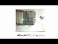 alive air purifier cleaning the washable filters