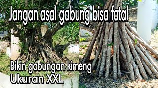 CARA PROGRAM GABUNG BATANG KIMENG UKURAN XXL‼ JANGAN ASAL GABUNG BISA FATAL