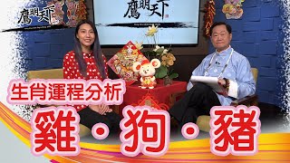 2020《鷹明天下》EP 6: 生肖雞，狗，豬之鼠年運程 Fengshui Master Eagle Wong - Rooster, Dog, Pig【天下衛視 Sky Link TV】