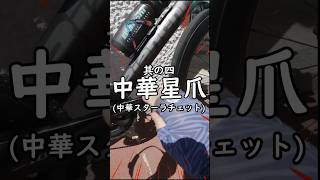 非競技勢は中華カーボンホイールおすすめ🚴ロードバイクなぁぜなぁぜ？Bianchi Oltre XR3 × ICAN FL52 Max コスパ最幸 中華星爪(スターラチェット)